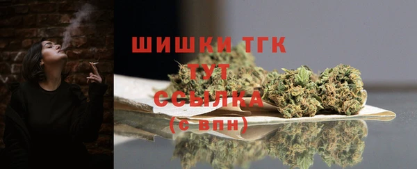 гашик Богородск