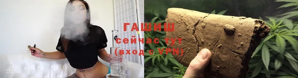 гидра Богданович