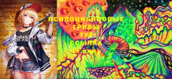 гидра Богданович