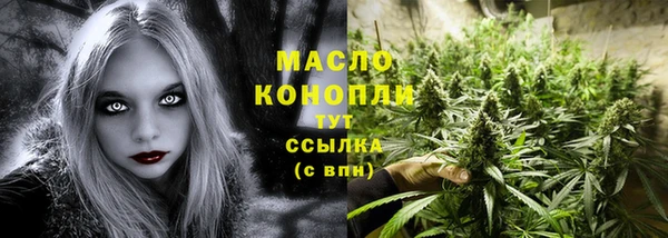 гидра Богданович